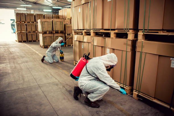 Best Residential Pest Control  in Linln Park, CO