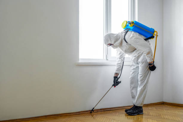 Best Best Pest Control Companies  in Linln Park, CO