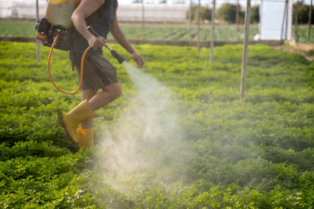 Best Commercial Pest Control Services  in Linln Park, CO