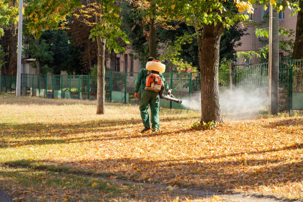 Best Termite Control Services  in Linln Park, CO