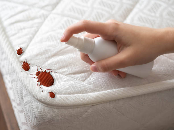 Best Wasp Removal Services  in Linln Park, CO