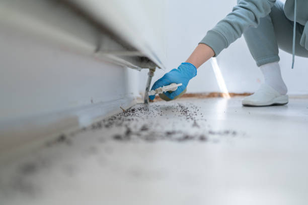 Best Affordable Pest Control Services  in Linln Park, CO