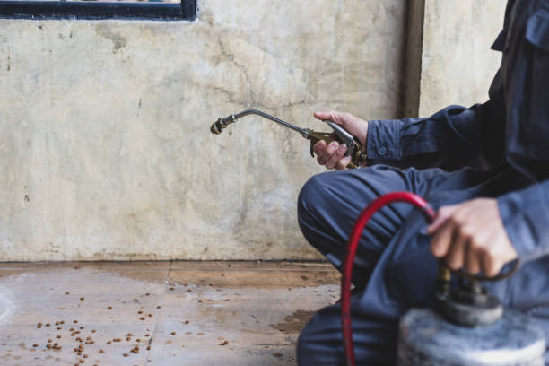 Professional Pest Control in Lincoln Park, CO